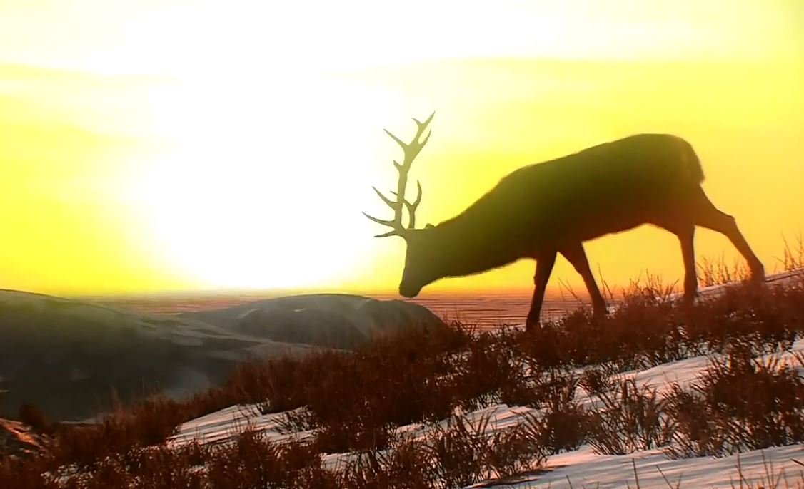 Скриншот из игры Cabela's Big Game Hunter: Pro Hunts - 14