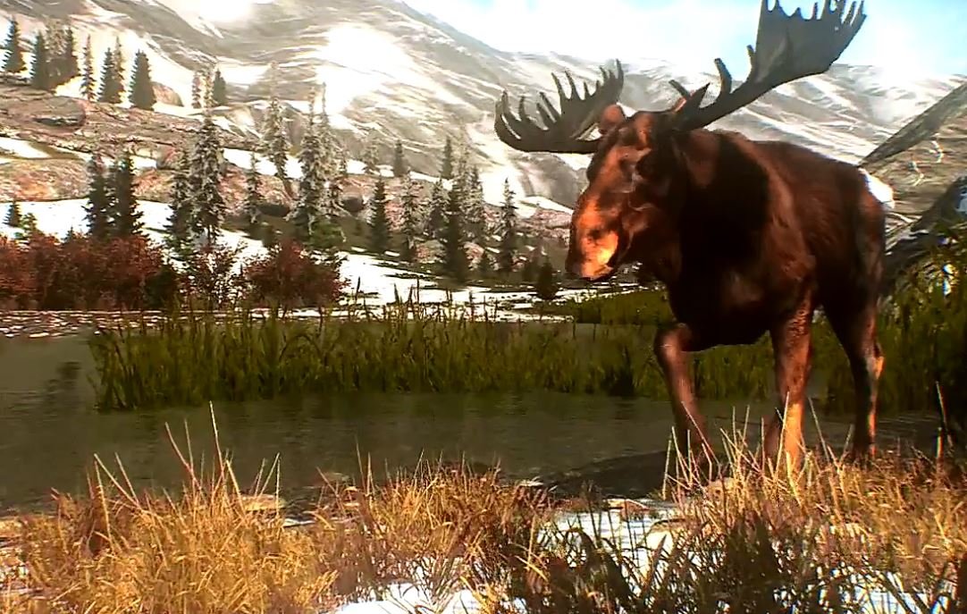 Скриншот из игры Cabela's Big Game Hunter: Pro Hunts - 8