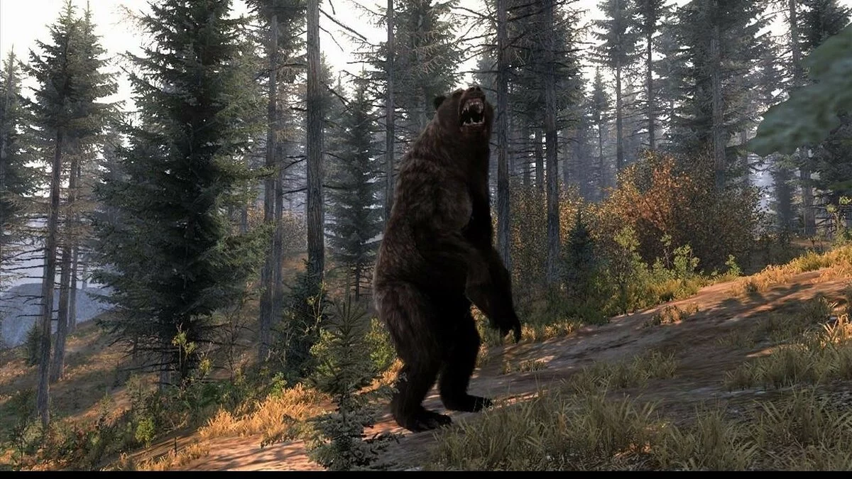 Скриншот из игры Cabela's Big Game Hunter: Pro Hunts - 11