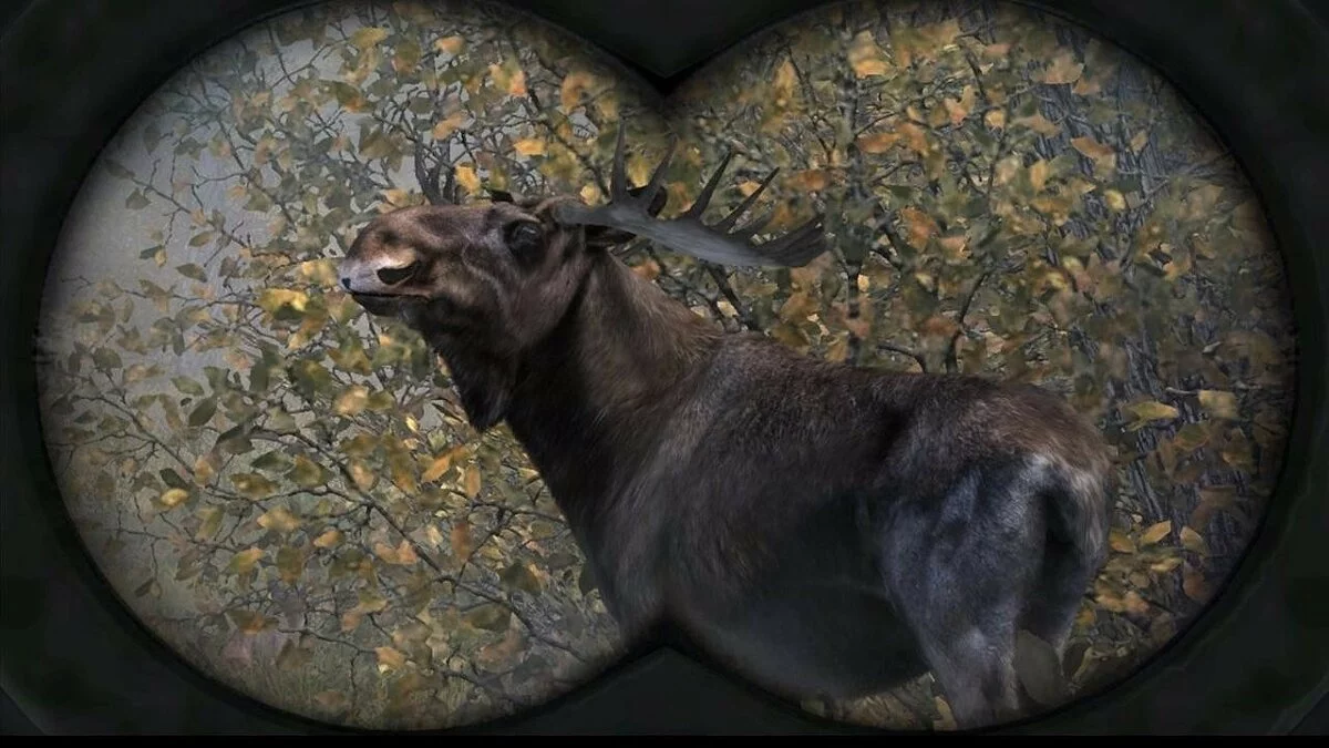 Скриншот из игры Cabela's Big Game Hunter: Pro Hunts - 15