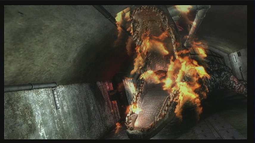 Скриншот из игры Resident Evil: The Darkside Chronicles - 128