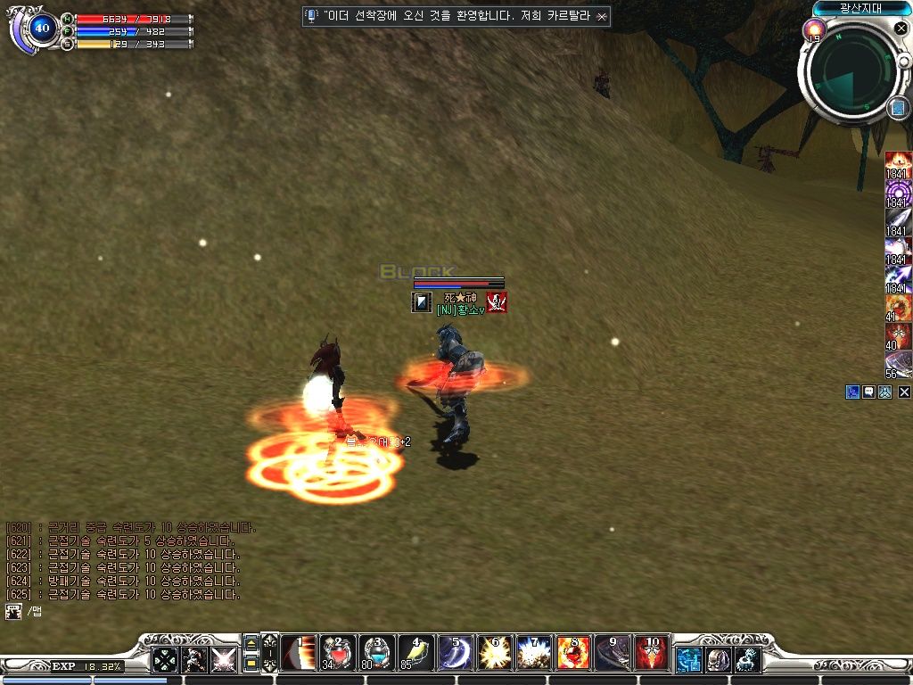 Скриншот из игры RF Online - 131