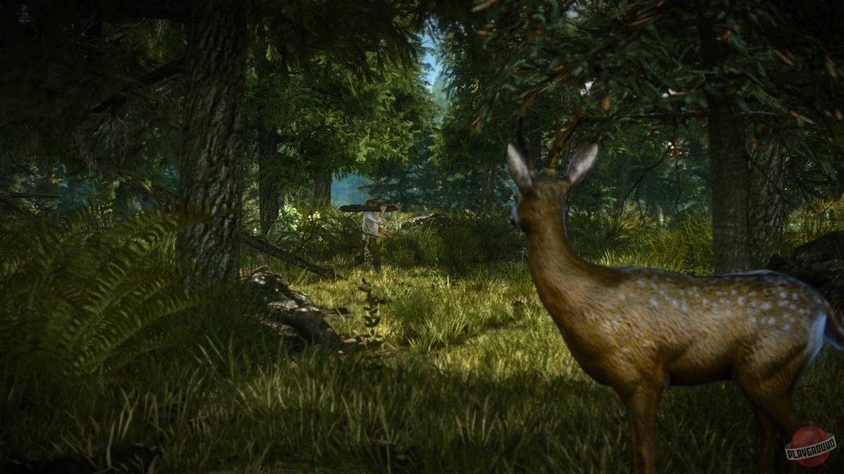 Скриншот из игры The Witcher 2: Assassins of Kings - 190