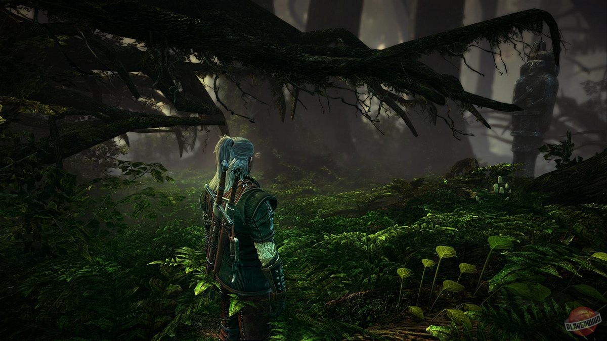 Скриншот из игры The Witcher 2: Assassins of Kings - 174