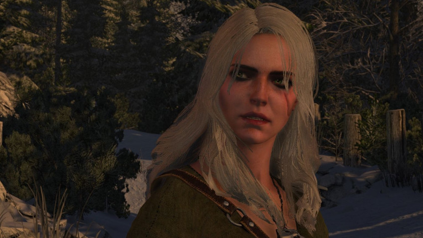 Скриншот из игры The Witcher 2: Assassins of Kings - 109