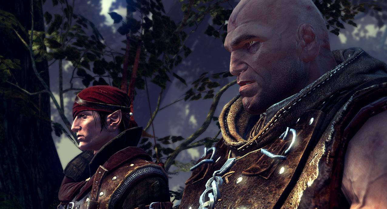 Скриншот из игры The Witcher 2: Assassins of Kings - 130