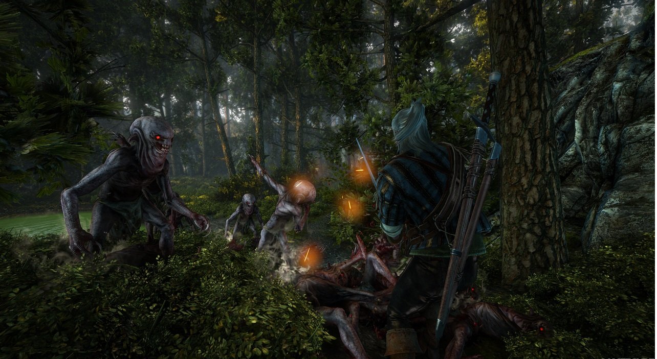 Скриншот из игры The Witcher 2: Assassins of Kings - 137