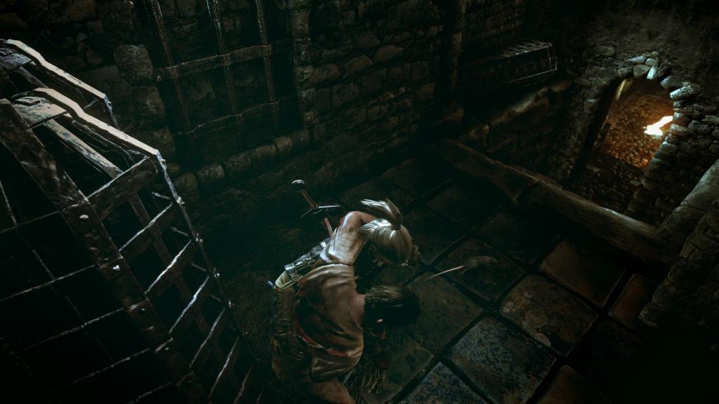 Скриншот из игры The Witcher 2: Assassins of Kings - 138
