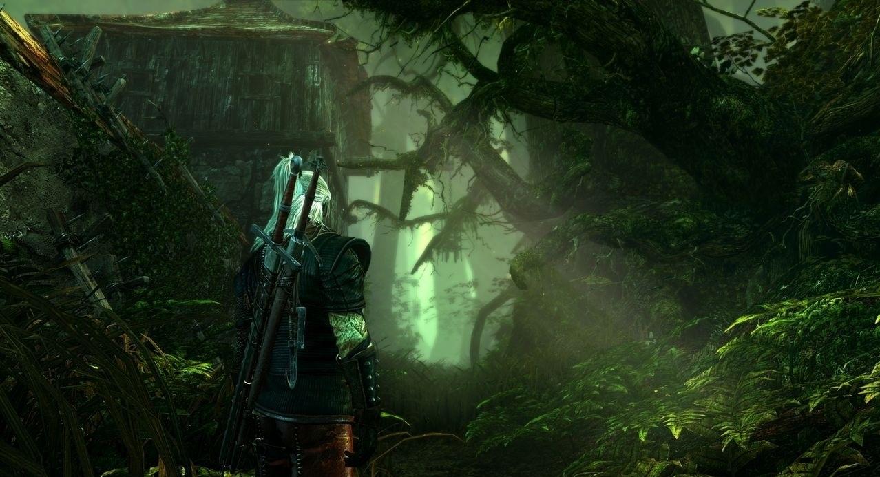 Скриншот из игры The Witcher 2: Assassins of Kings - 31