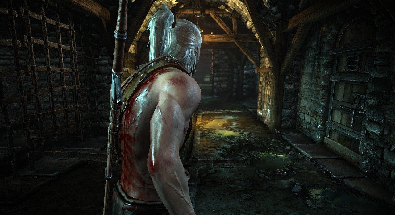 Скриншот из игры The Witcher 2: Assassins of Kings - 33