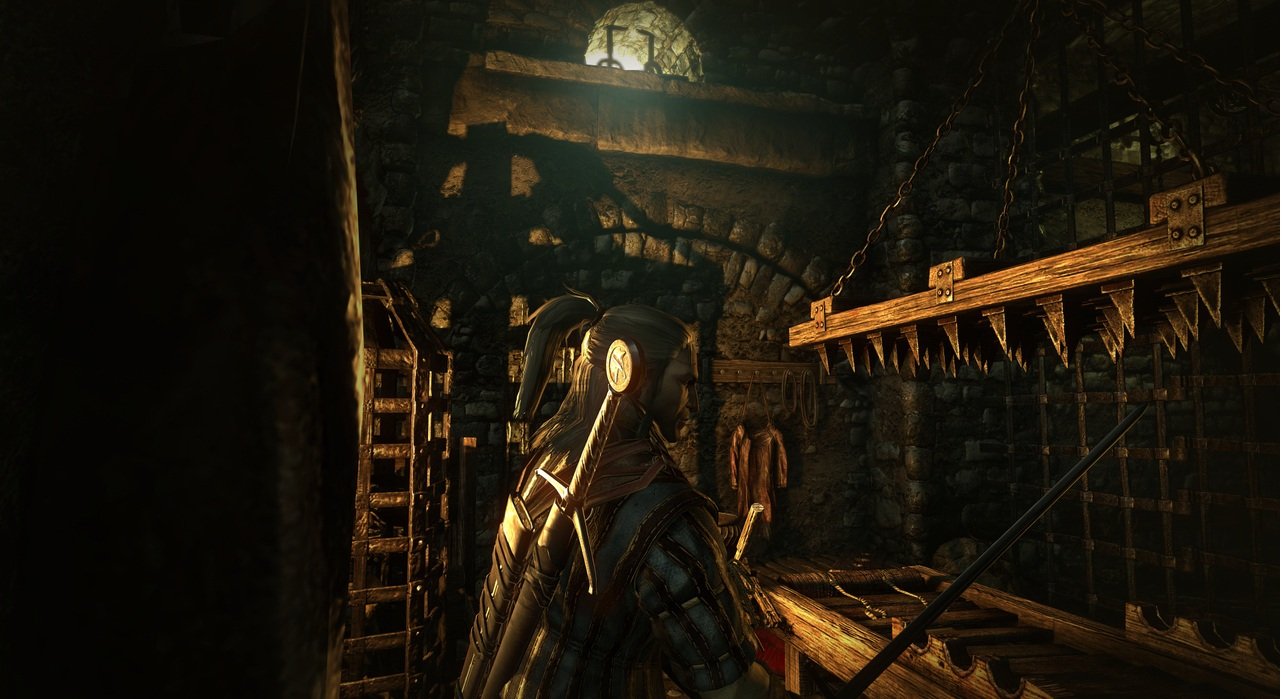 Скриншот из игры The Witcher 2: Assassins of Kings - 5