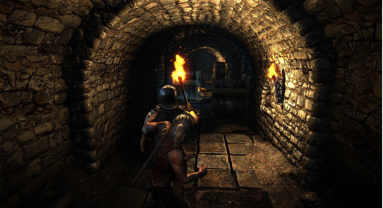 Скриншот из игры The Witcher 2: Assassins of Kings - 41