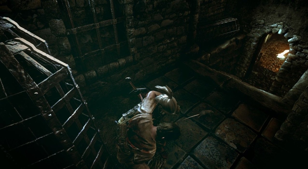 Скриншот из игры The Witcher 2: Assassins of Kings - 60