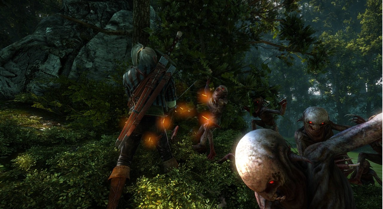 Скриншот из игры The Witcher 2: Assassins of Kings - 72