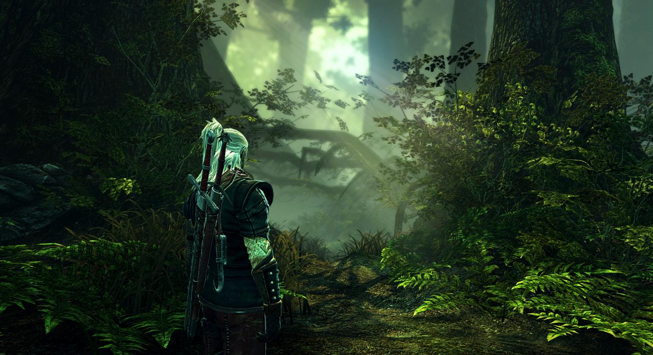 Скриншот из игры The Witcher 2: Assassins of Kings - 78