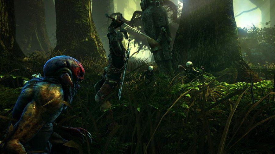 Скриншот из игры The Witcher 2: Assassins of Kings - 95