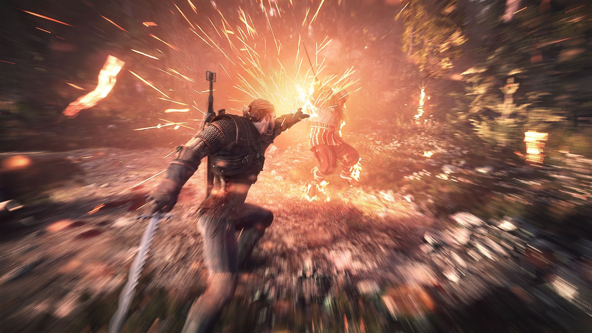 Скриншот из игры The Witcher 3: Wild Hunt - 219