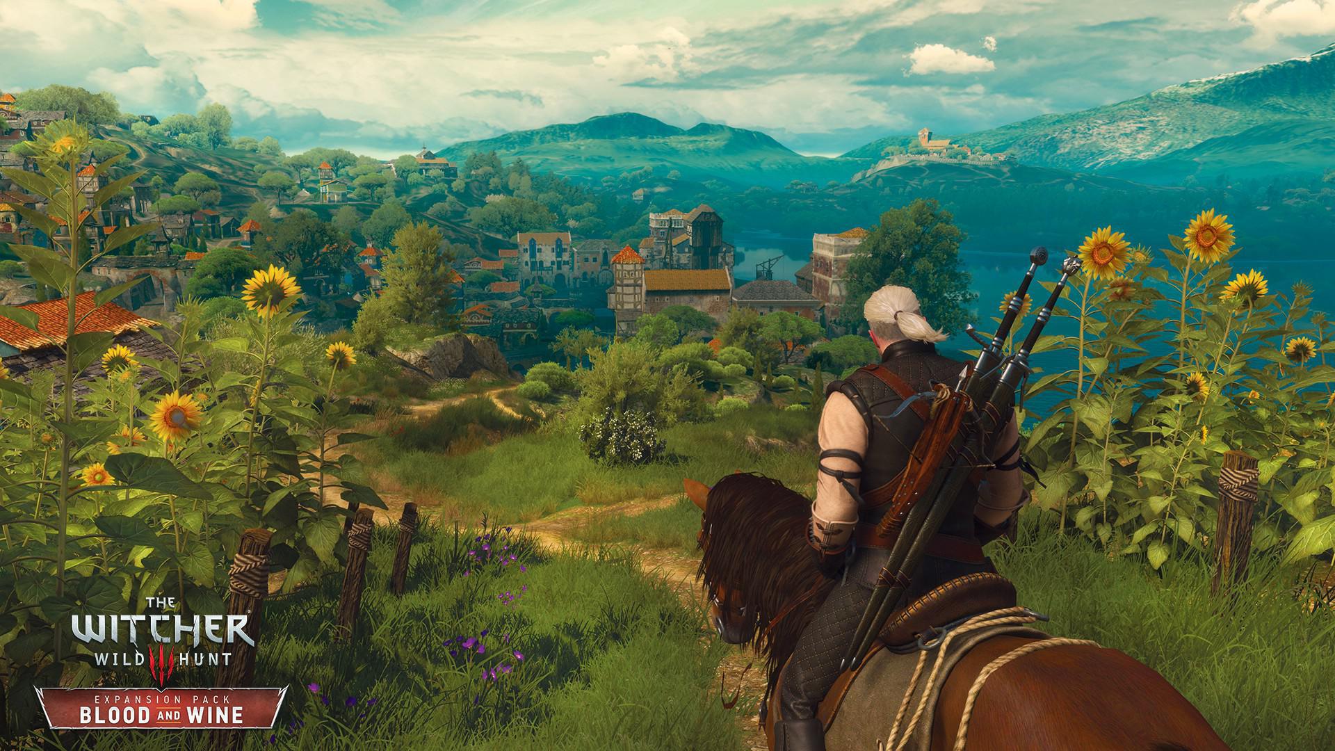 Скриншот из игры The Witcher 3: Wild Hunt - 164