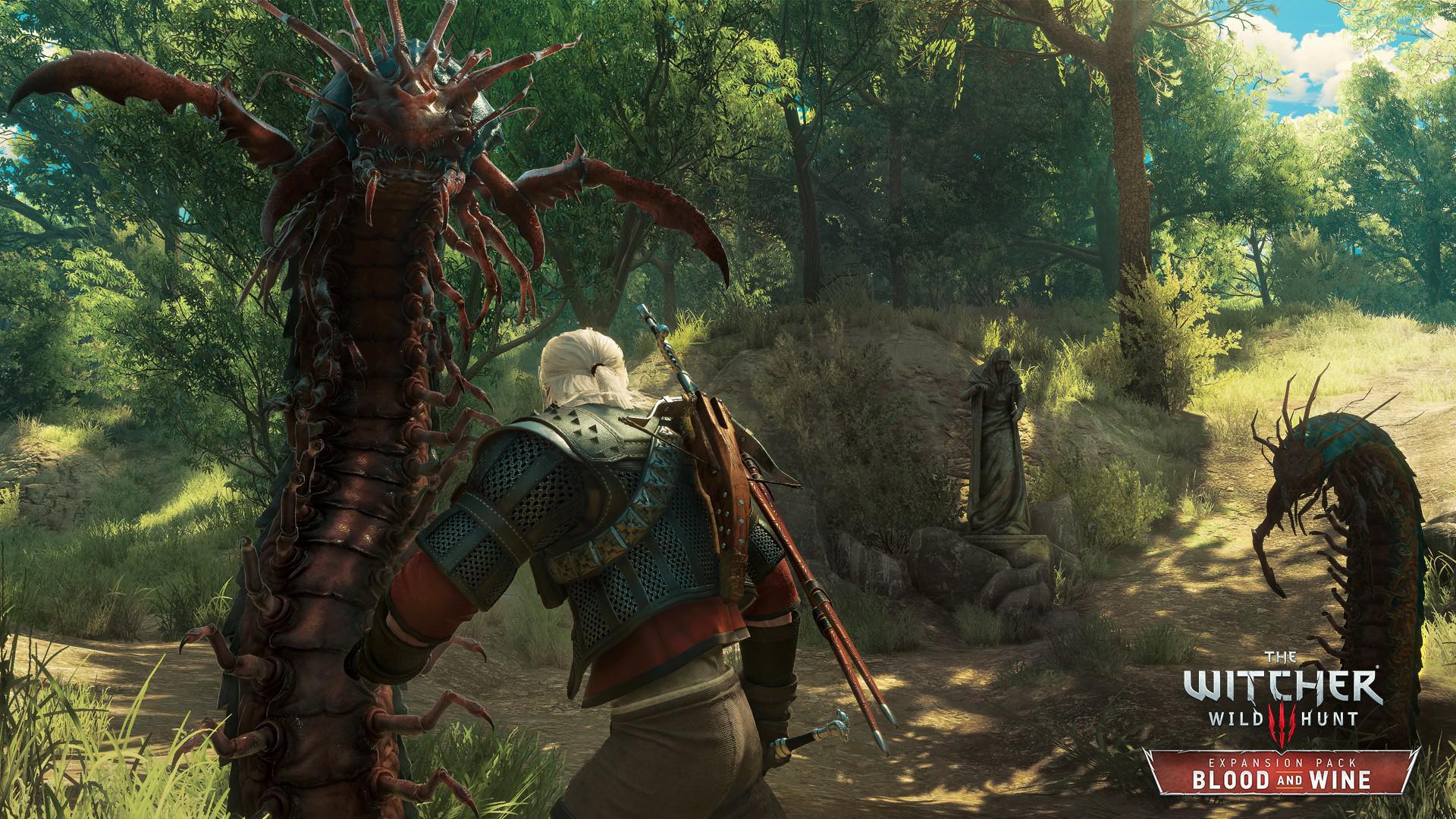 Скриншот из игры The Witcher 3: Wild Hunt - 214