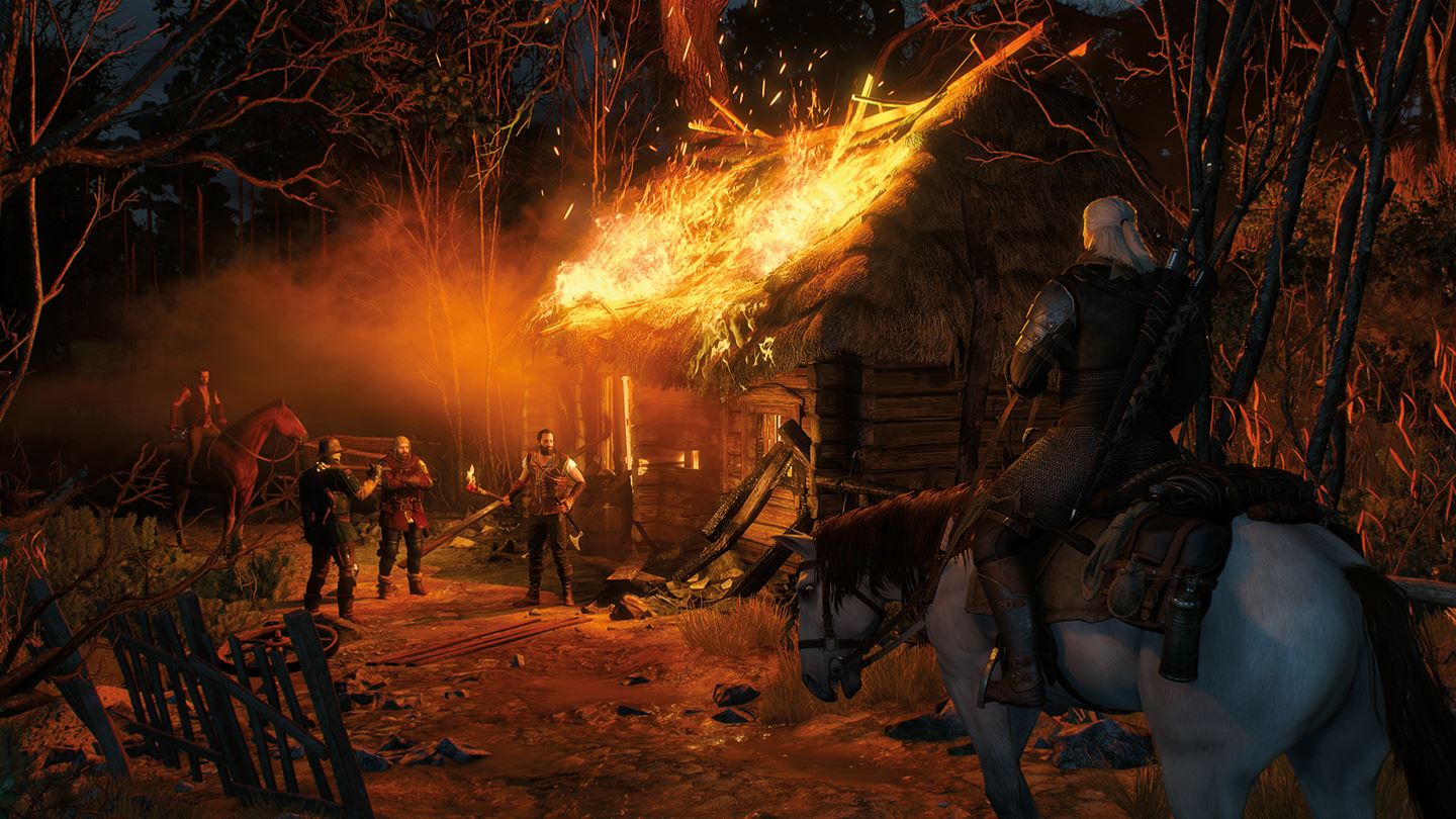 Скриншот из игры The Witcher 3: Wild Hunt - 241