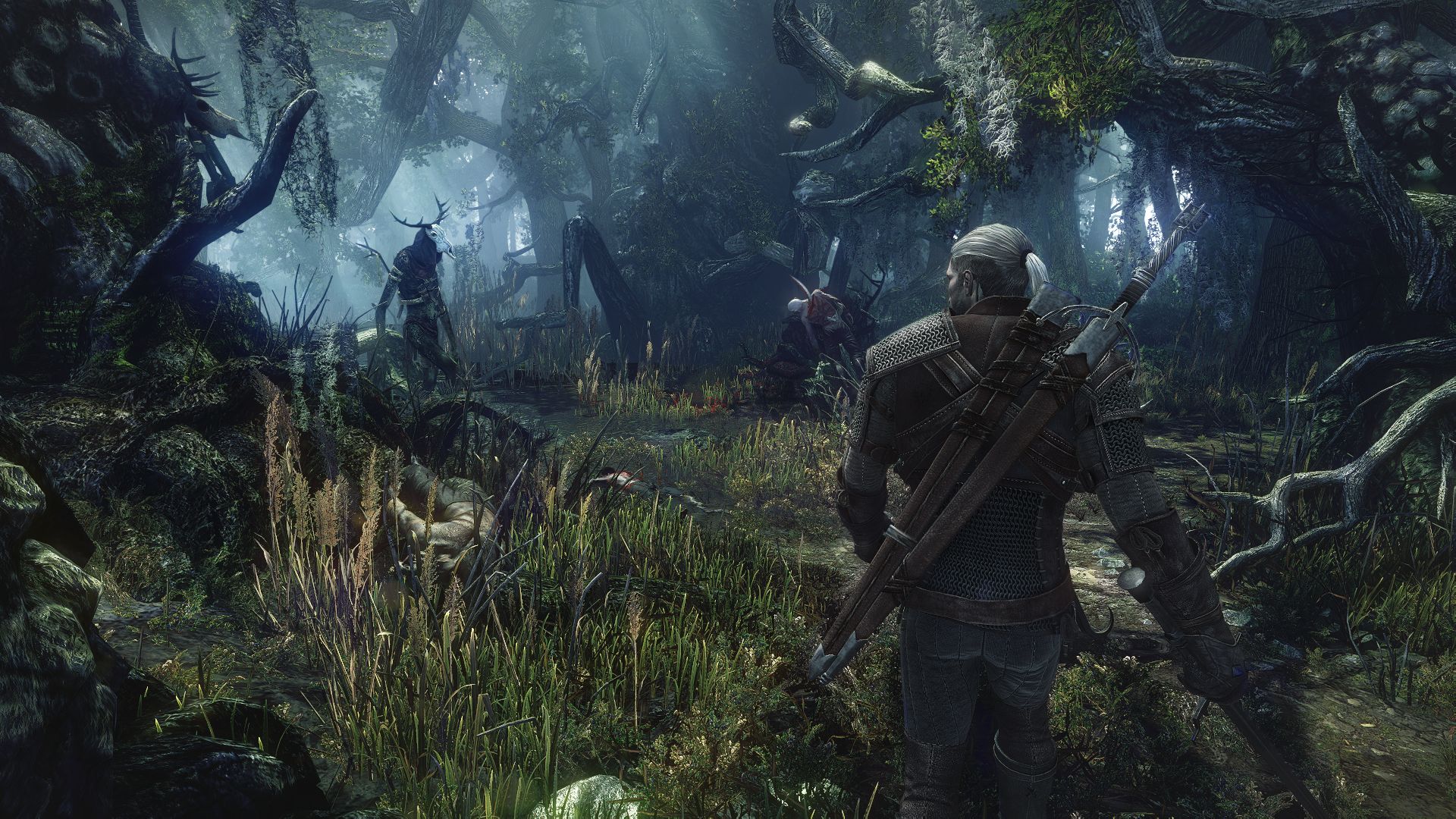 Скриншот из игры The Witcher 3: Wild Hunt - 176