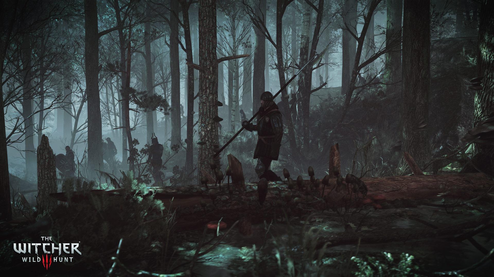 Скриншот из игры The Witcher 3: Wild Hunt - 267