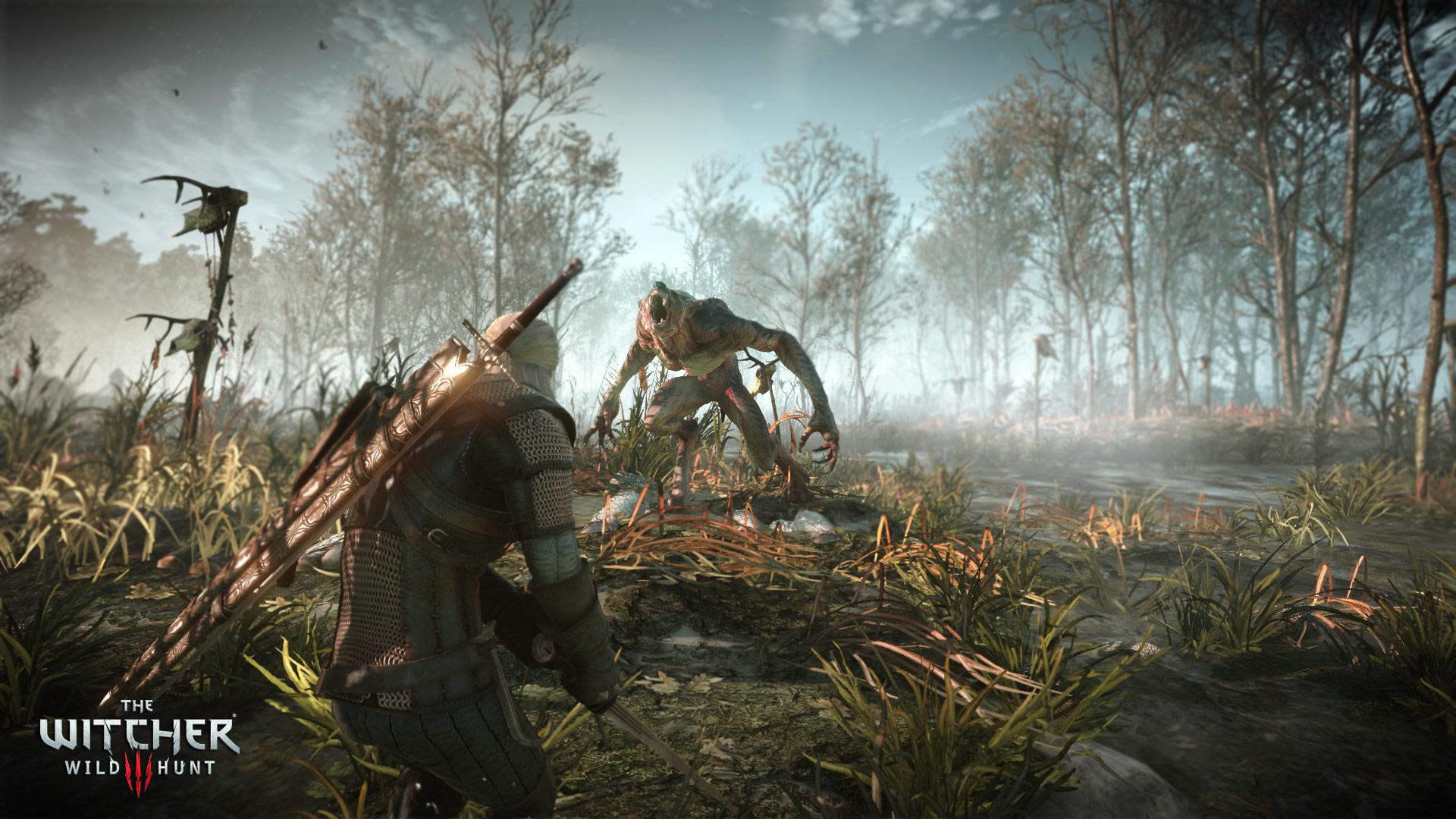 Скриншот из игры The Witcher 3: Wild Hunt - 244