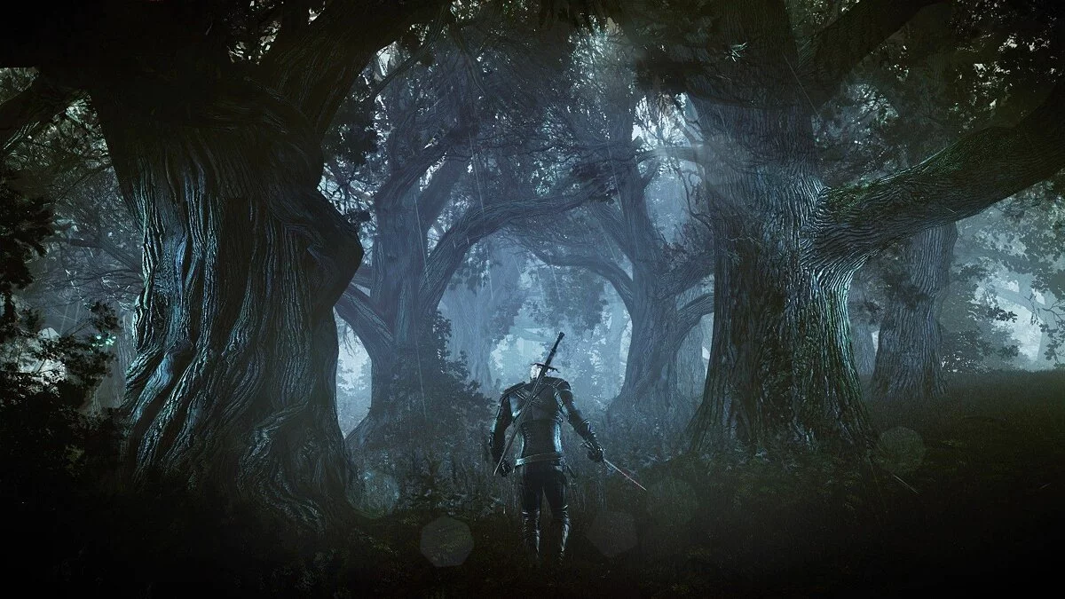 Скриншот из игры The Witcher 3: Wild Hunt - 180