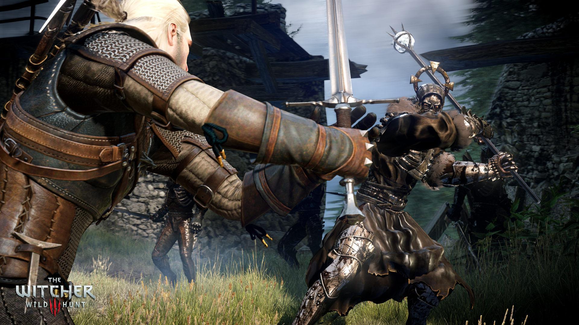 Скриншот из игры The Witcher 3: Wild Hunt - 262