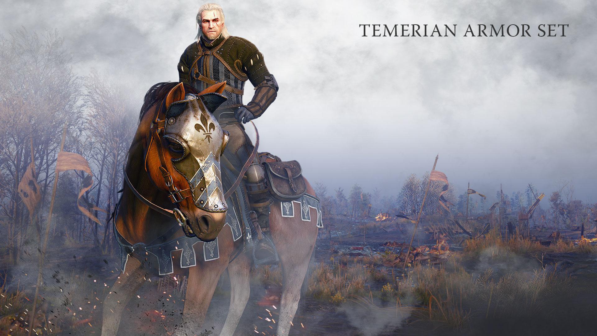 Скриншот из игры The Witcher 3: Wild Hunt - 248