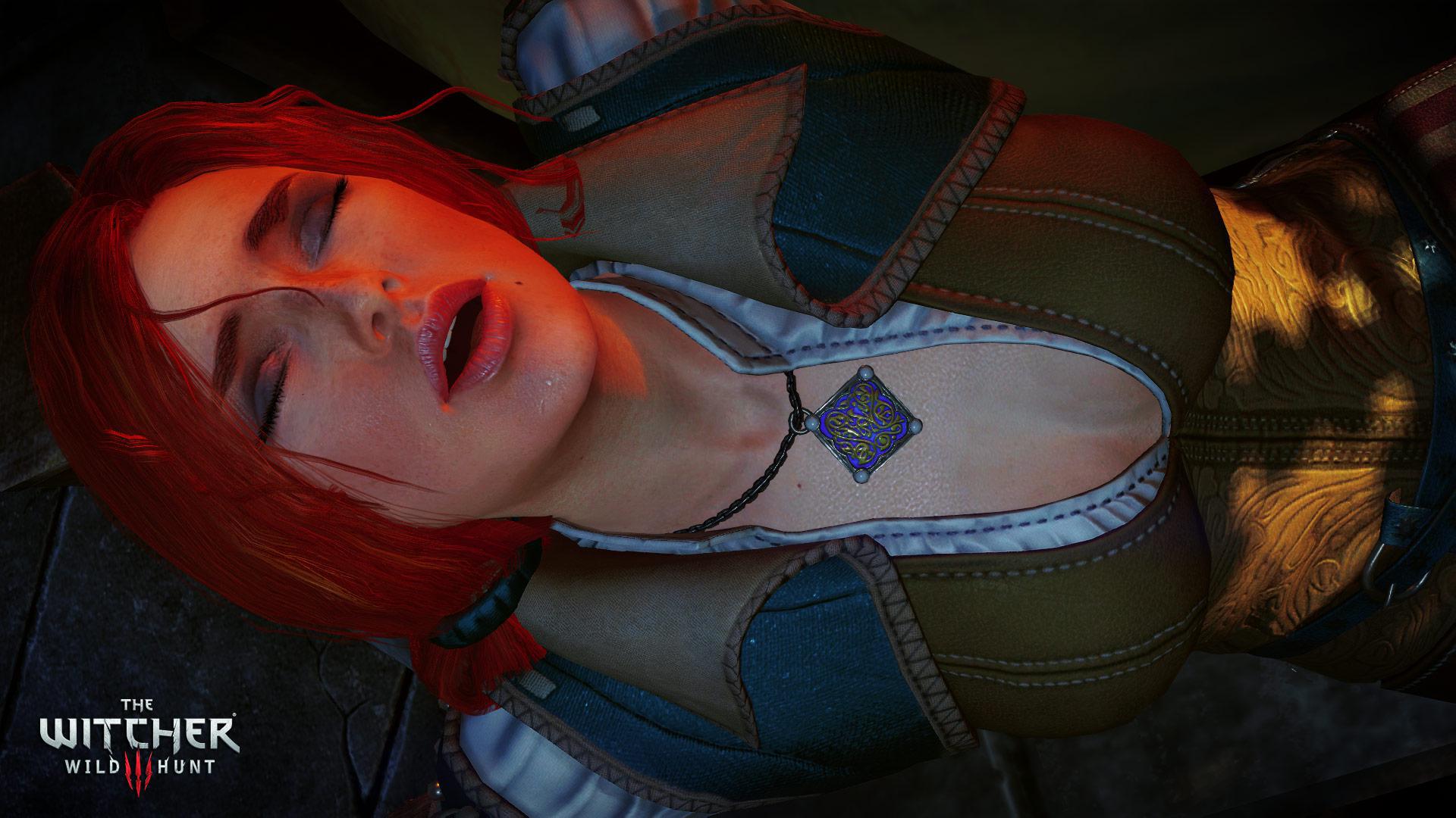 Скриншот из игры The Witcher 3: Wild Hunt - 240