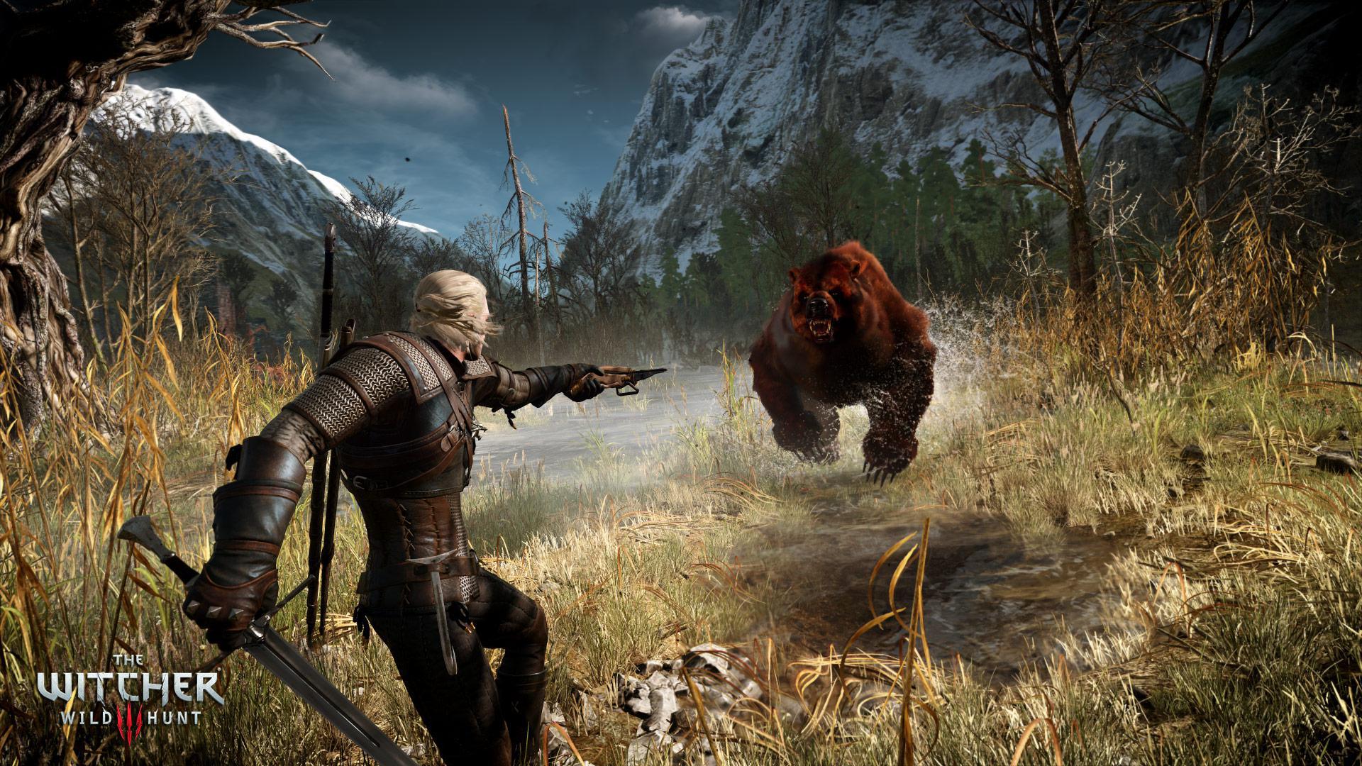 Скриншот из игры The Witcher 3: Wild Hunt - 299
