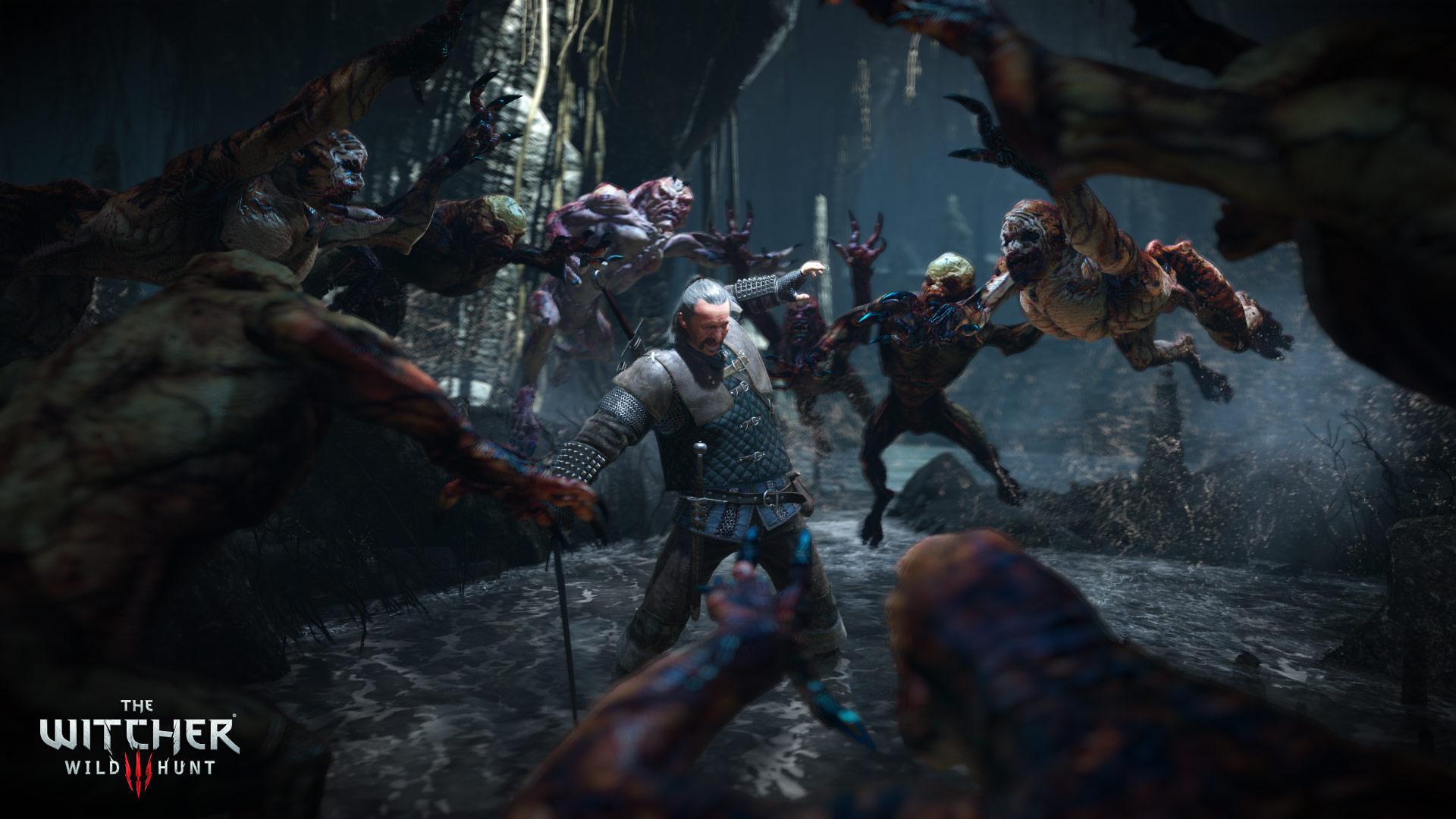 Скриншот из игры The Witcher 3: Wild Hunt - 268