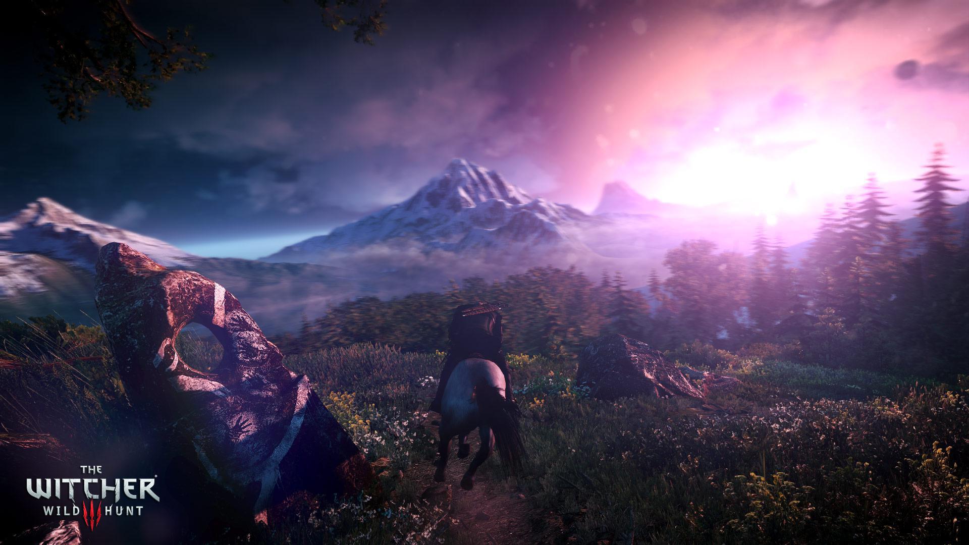 Скриншот из игры The Witcher 3: Wild Hunt - 264