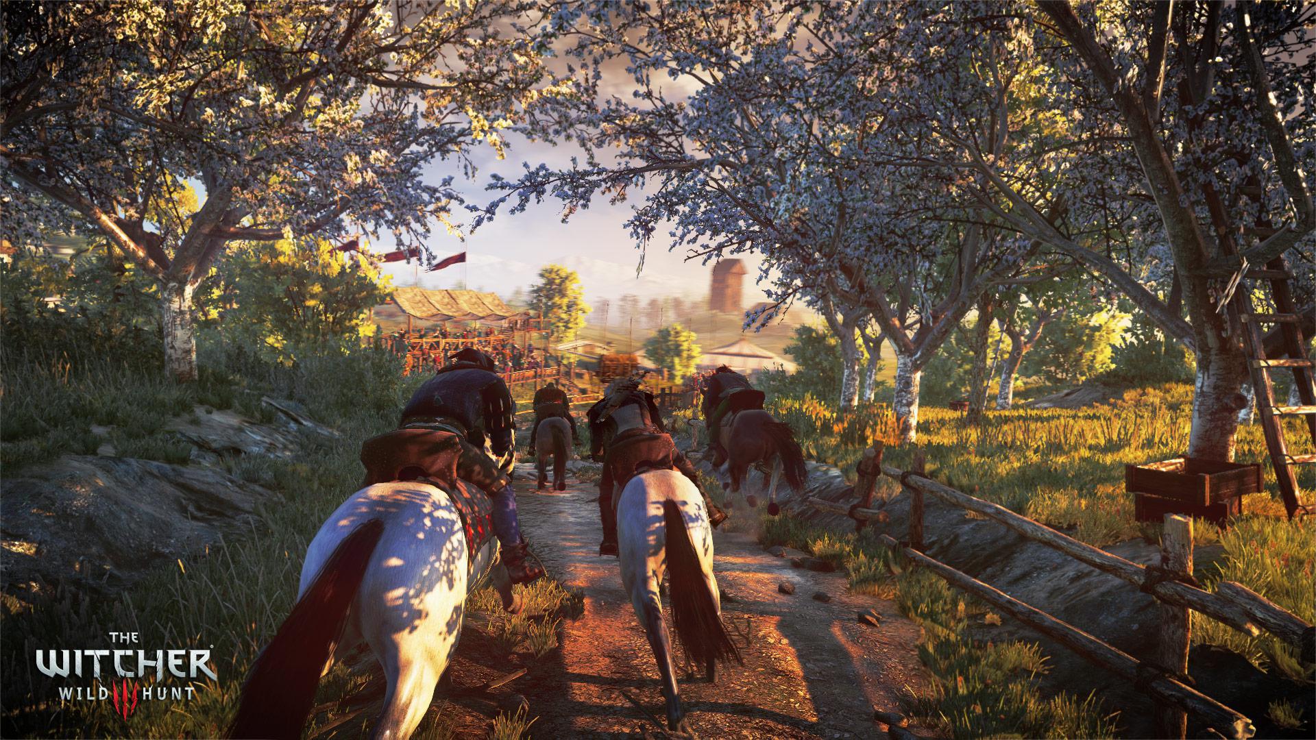 Скриншот из игры The Witcher 3: Wild Hunt - 257