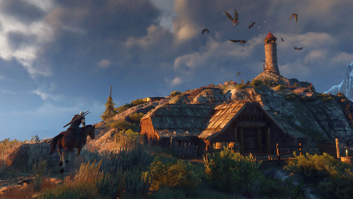 Скриншот из игры The Witcher 3: Wild Hunt - 305