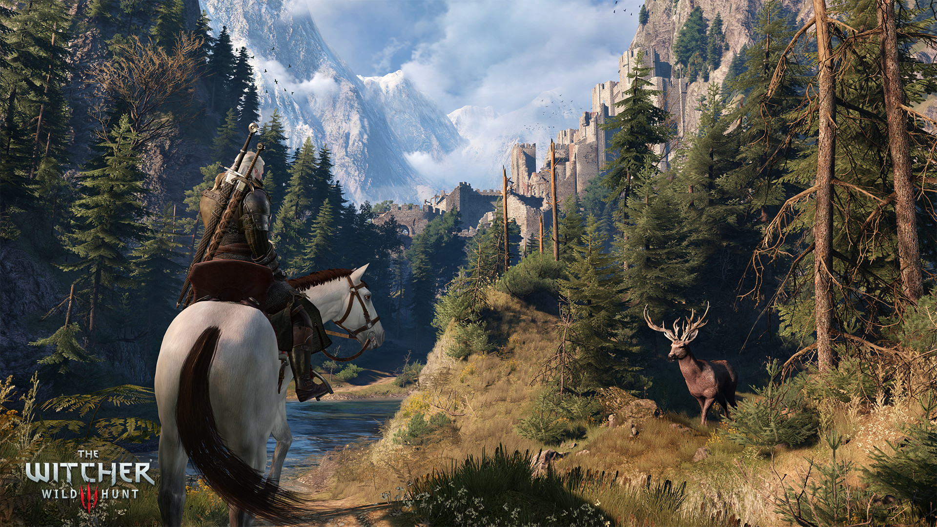 Скриншот из игры The Witcher 3: Wild Hunt - 246