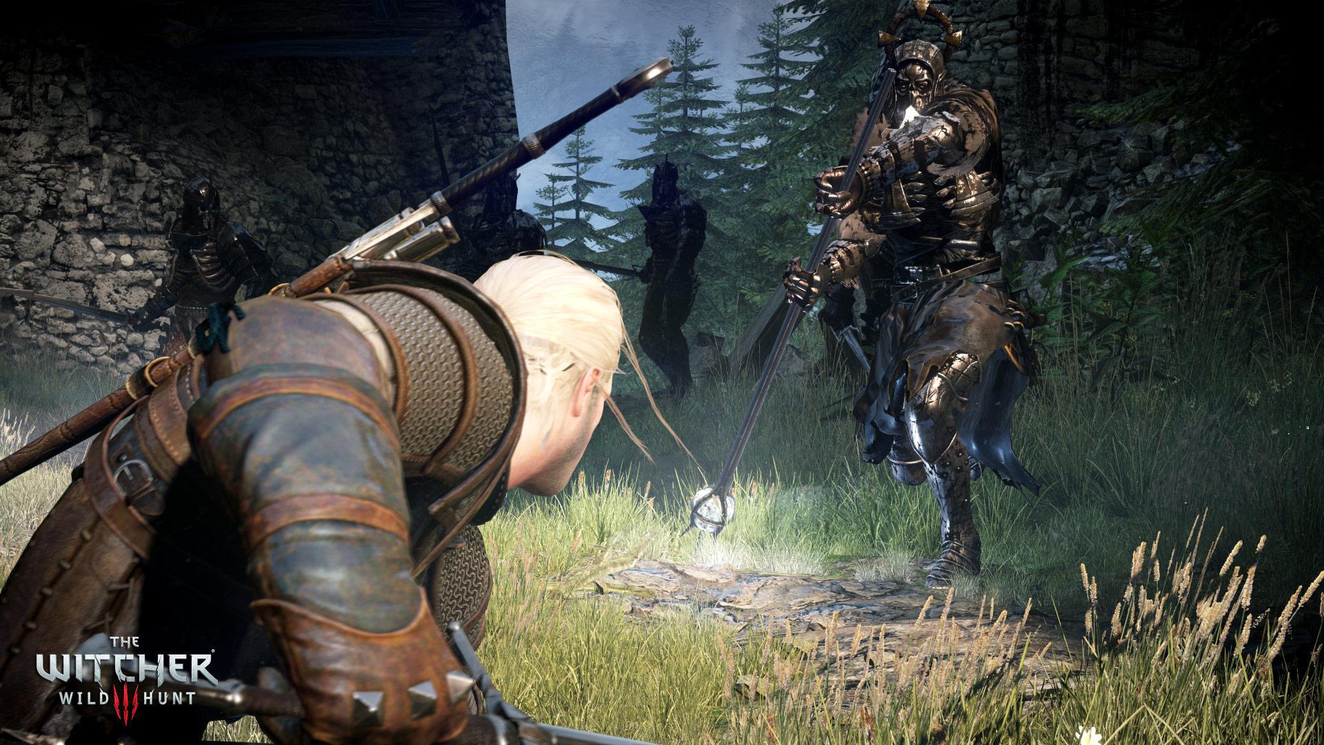 Скриншот из игры The Witcher 3: Wild Hunt - 236