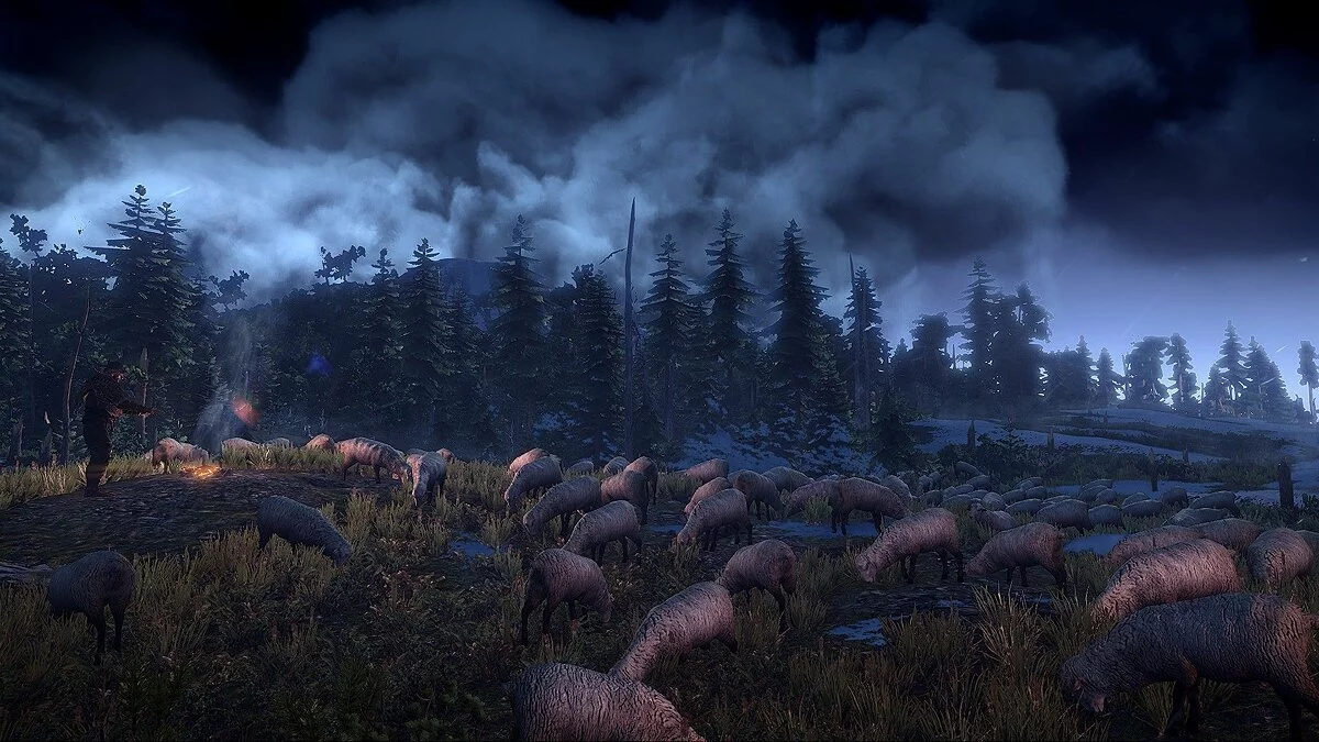Скриншот из игры The Witcher 3: Wild Hunt - 174