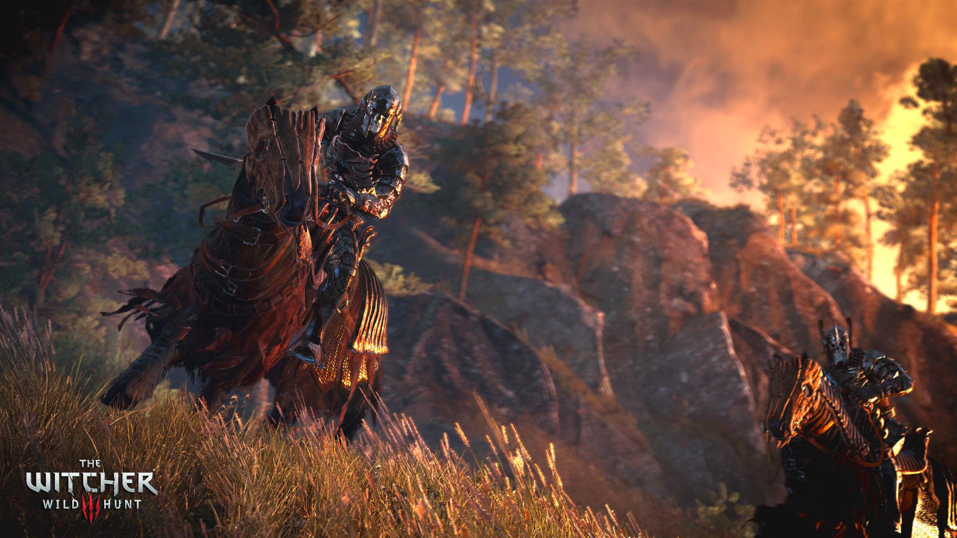 Скриншот из игры The Witcher 3: Wild Hunt - 277