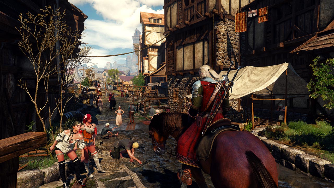Скриншот из игры The Witcher 3: Wild Hunt - 265
