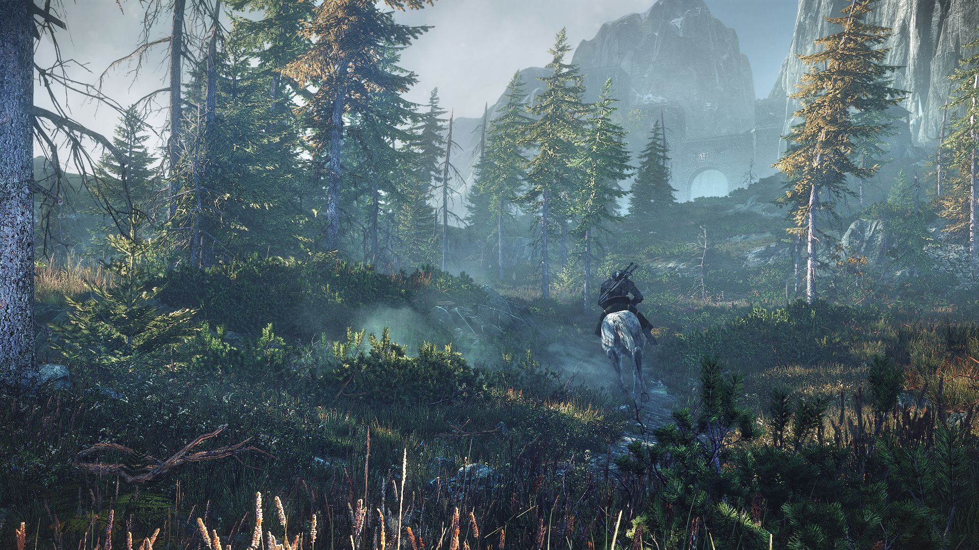 Скриншот из игры The Witcher 3: Wild Hunt - 191