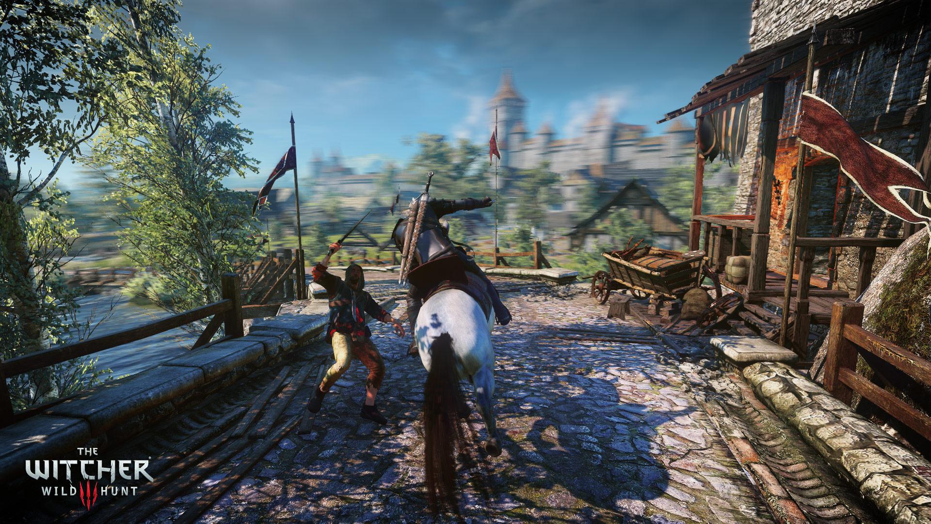 Скриншот из игры The Witcher 3: Wild Hunt - 225