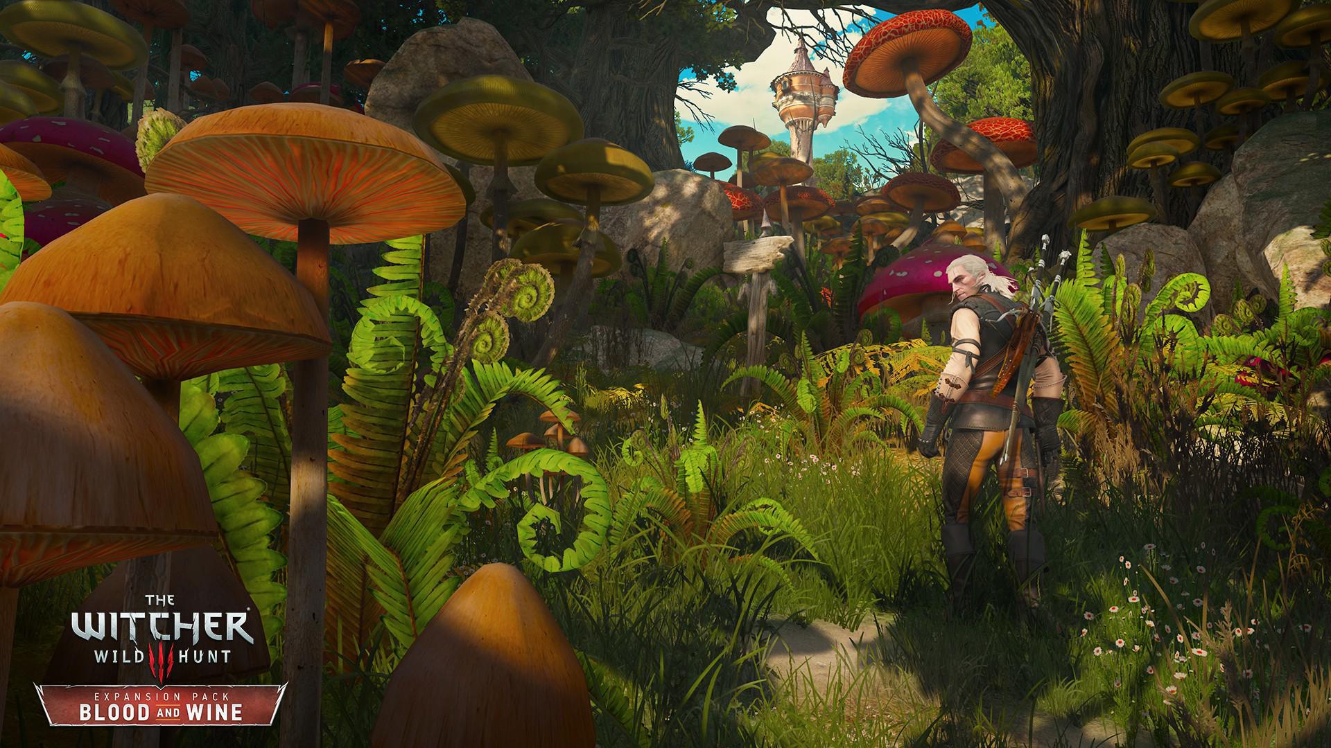 Скриншот из игры The Witcher 3: Wild Hunt - 242