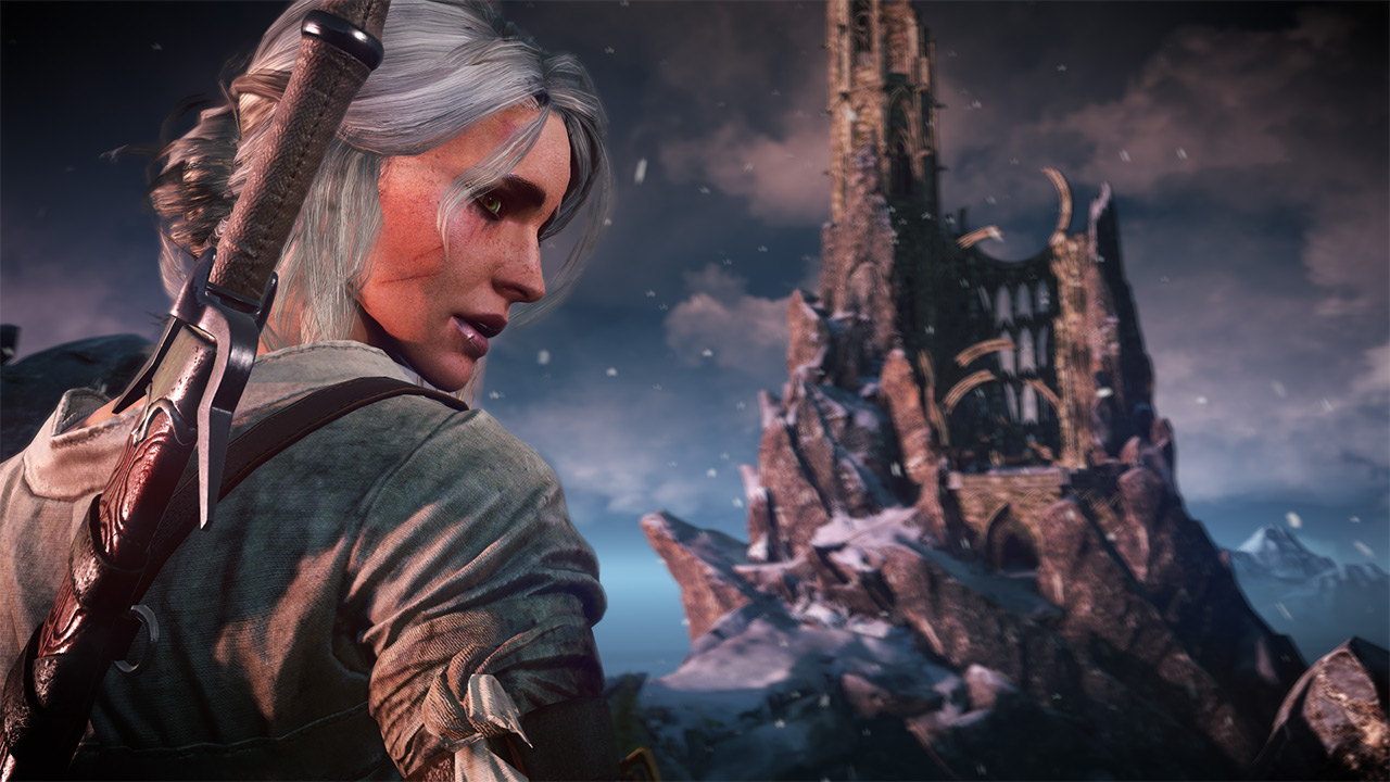 Скриншот из игры The Witcher 3: Wild Hunt - 228