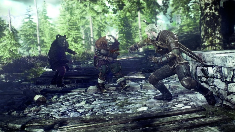 Скриншот из игры The Witcher 3: Wild Hunt - 101