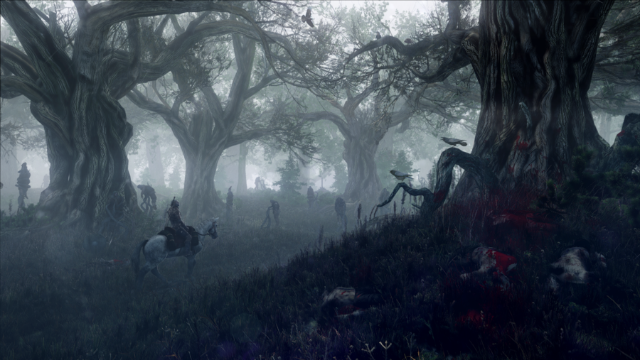 Скриншот из игры The Witcher 3: Wild Hunt - 106