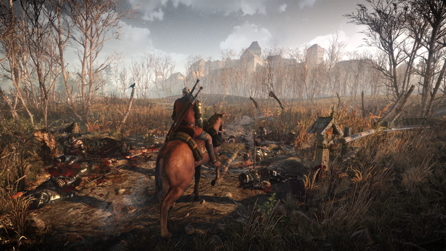 Скриншот из игры The Witcher 3: Wild Hunt - 17