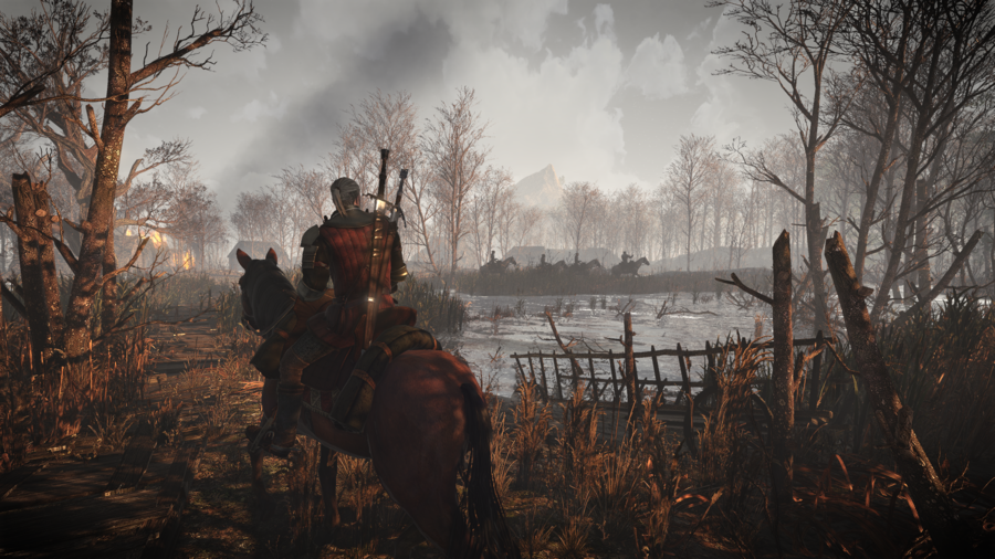 Скриншот из игры The Witcher 3: Wild Hunt - 18