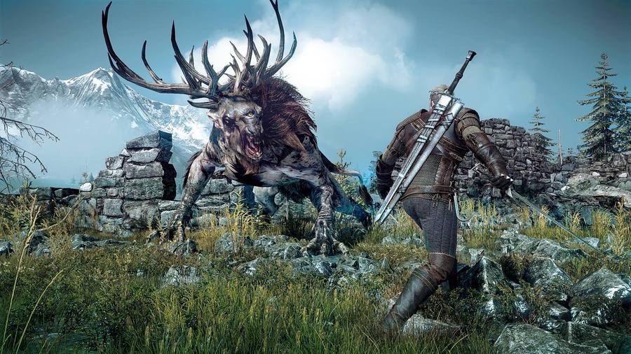 Скриншот из игры The Witcher 3: Wild Hunt - 21